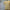 Gabicci Vintage Johnson Short Sleeve Zip Neck Knit Polo - Lemon