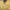 Gabicci Vintage Johnson Short Sleeve Zip Neck Knit Polo - Lemon