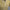 Gabicci Vintage Johnson Short Sleeve Zip Neck Knit Polo - Lemon