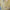 Gabicci Vintage Johnson Short Sleeve Zip Neck Knit Polo - Lemon