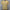 Gabicci Vintage Johnson Short Sleeve Zip Neck Knit Polo - Lemon