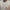 Gabicci Vintage Santino Short Sleeve Knit Crew Neck - White