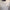 Gabicci Vintage Santino Short Sleeve Knit Crew Neck - White