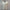 Gabicci Vintage Santino Short Sleeve Knit Crew Neck - White