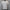 Gabicci Vintage Santino Short Sleeve Knit Crew Neck - White