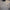 Lyle & Scott Cotton Crew Neck T-Shirt - White
