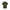 Lyle & Scott Cotton Crew Neck T-Shirt - Olive